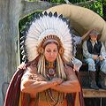 ary_apache