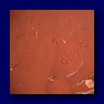 CIMG1156