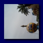 CIMG1282