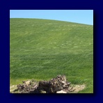 CIMG1422