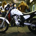 img_3321
