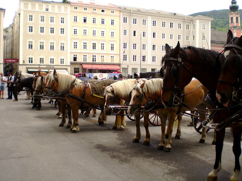 cimg6715.jpg