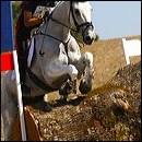 francesco_zaza_-_jol_699410