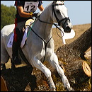 francesco_zaza_-_jol_699457