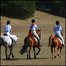 pony_express_3642