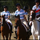 pony_express_3649