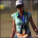 pony_express_coach_3651