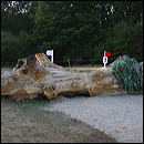 img_3556