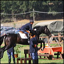 carosello_ei_5634