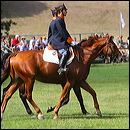 carosello_ei_5666