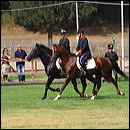 carosello_ei_5669