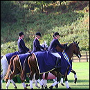 gbr_6070