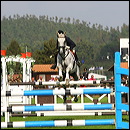 bettina_hoy-ringwood_69b235