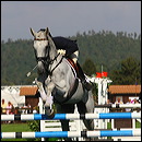 bettina_hoy-ringwood_69b237