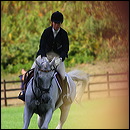 bettina_hoy-ringwood_69b23b