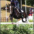 vittoria_panizzon-ro_69b1b7