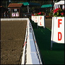 rettangolo_1001_cef_eur_07