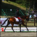 img_1538