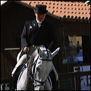 img_1550
