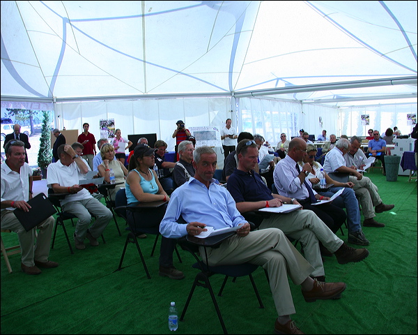 draw_0778_cef_cheu07.jpg