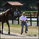 barbara_steiner-nick_6958e8