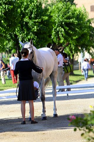 img_6184.jpg