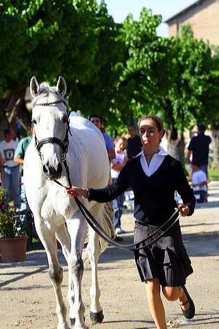 img_6186.jpg