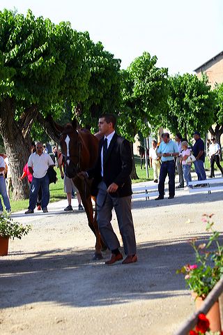 img_6218.jpg