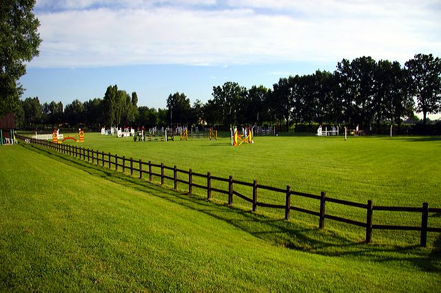 img_6442.jpg