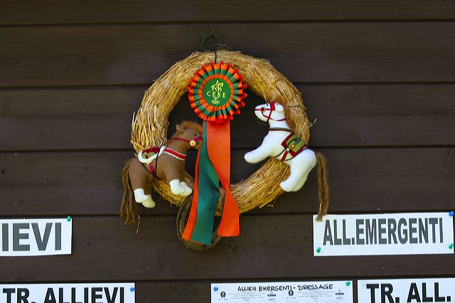 img_6464.jpg