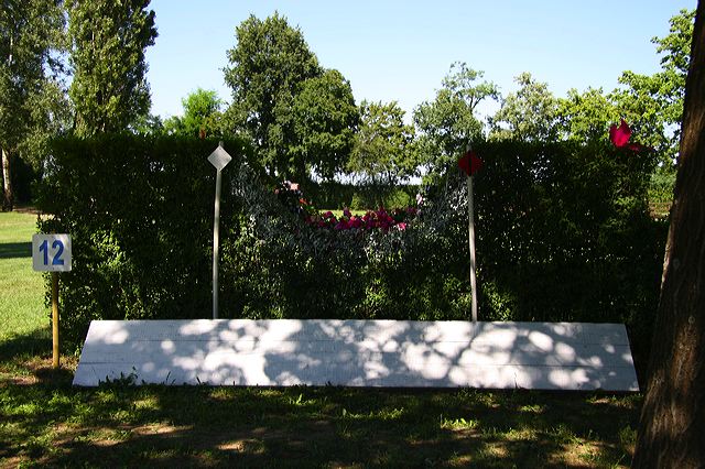 img_6497.jpg