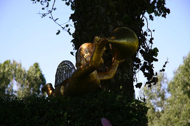 img_6500.jpg