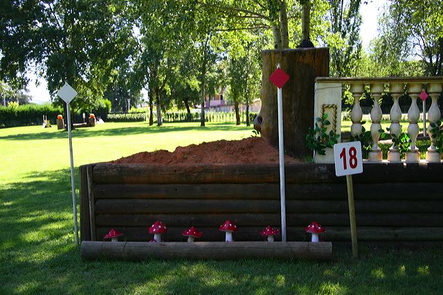 img_6510.jpg