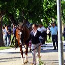 img_6202
