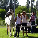 img_6217