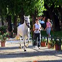 img_6263