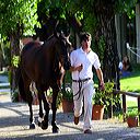 img_6271