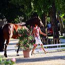 img_6274