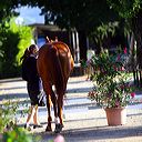 img_6291