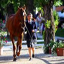 img_6292