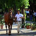 img_6363