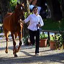 img_6373