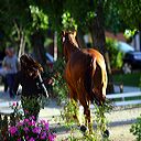img_6394