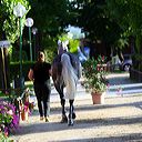 img_6397