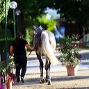 img_6398