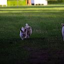 img_6425