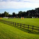 img_6442