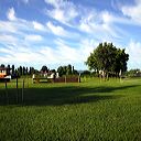img_6445