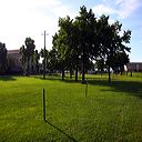 img_6446