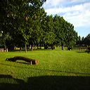 img_6449
